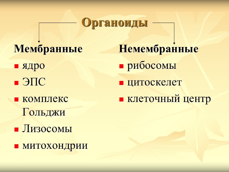 Органоиды Мембранные  ядро ЭПС комплекс Гольджи Лизосомы митохондрии Немембранные рибосомы цитоскелет клеточный центр